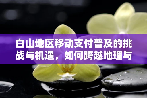 白山地区移动支付普及的挑战与机遇，如何跨越地理与文化的边界？