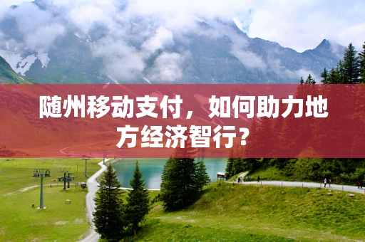 随州移动支付，如何助力地方经济智行？