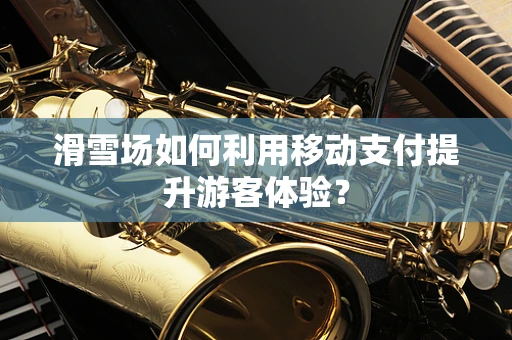 滑雪场如何利用移动支付提升游客体验？