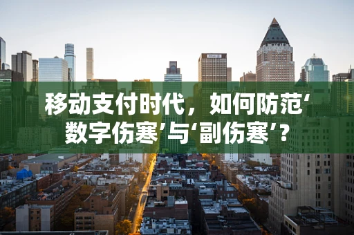 移动支付时代，如何防范‘数字伤寒’与‘副伤寒’？