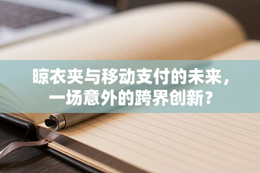 晾衣夹与移动支付的未来，一场意外的跨界创新？
