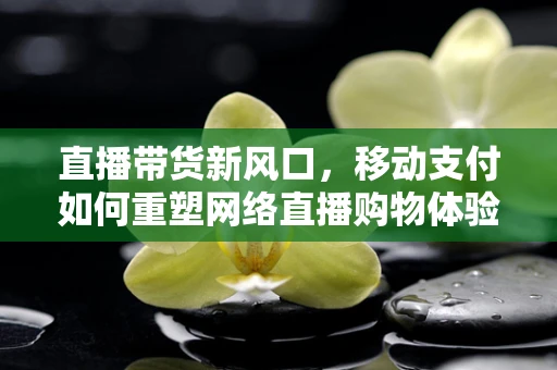 直播带货新风口，移动支付如何重塑网络直播购物体验？