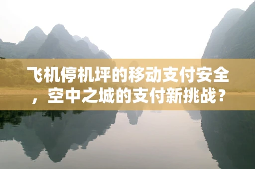 飞机停机坪的移动支付安全，空中之城的支付新挑战？