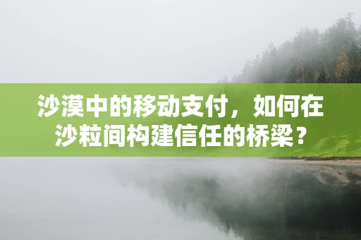 沙漠中的移动支付，如何在沙粒间构建信任的桥梁？