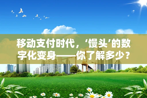 移动支付时代，‘馒头’的数字化变身——你了解多少？