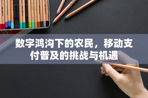 数字鸿沟下的农民，移动支付普及的挑战与机遇