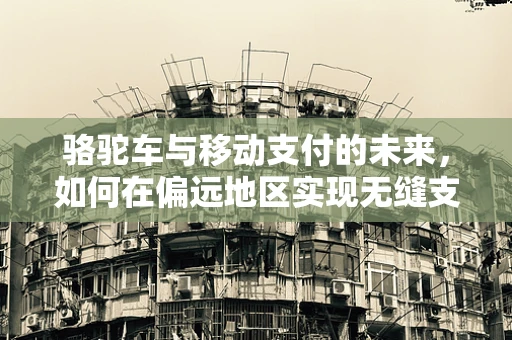 骆驼车与移动支付的未来，如何在偏远地区实现无缝支付体验？
