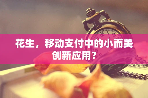 花生，移动支付中的小而美创新应用？