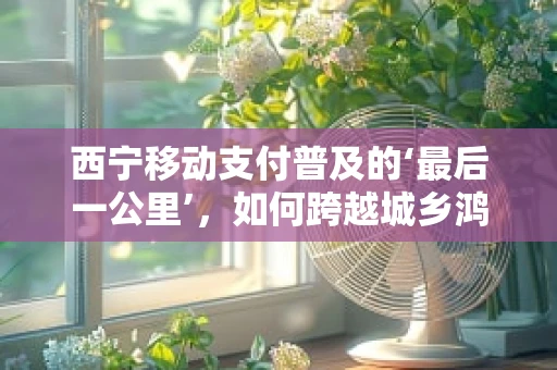 西宁移动支付普及的‘最后一公里’，如何跨越城乡鸿沟？