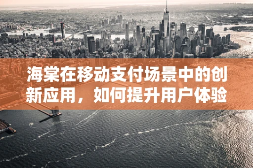 海棠在移动支付场景中的创新应用，如何提升用户体验？