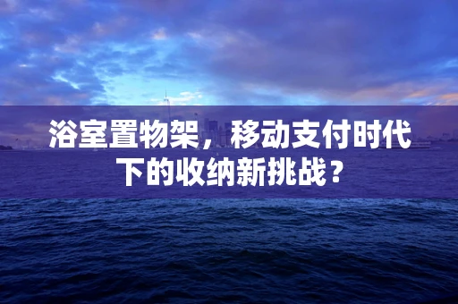 浴室置物架，移动支付时代下的收纳新挑战？