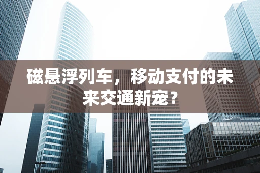 磁悬浮列车，移动支付的未来交通新宠？