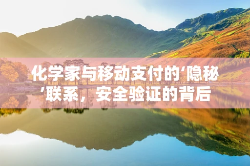 化学家与移动支付的‘隐秘’联系，安全验证的背后
