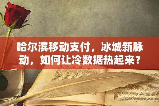哈尔滨移动支付，冰城新脉动，如何让冷数据热起来？
