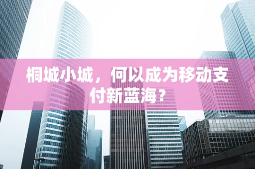 桐城小城，何以成为移动支付新蓝海？