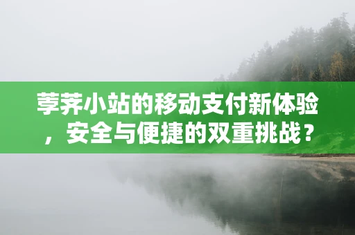 荸荠小站的移动支付新体验，安全与便捷的双重挑战？