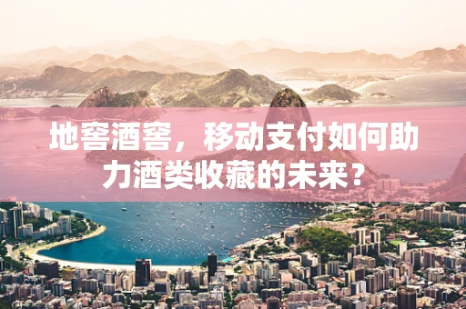 地窖酒窖，移动支付如何助力酒类收藏的未来？