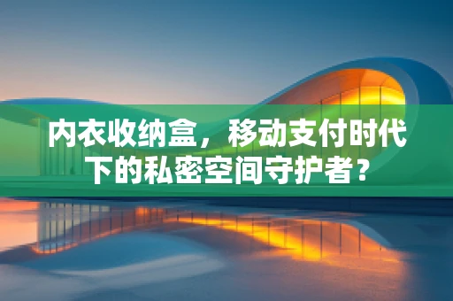 内衣收纳盒，移动支付时代下的私密空间守护者？
